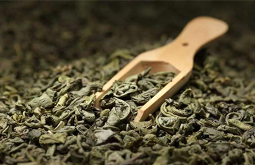 科技助力，小茶叶书写大文章